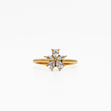 Ella snurrande ring